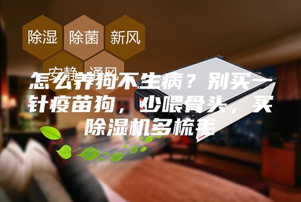 怎么養(yǎng)狗不生?。縿e買一針疫苗狗，少喂骨頭，買除濕機(jī)多梳毛