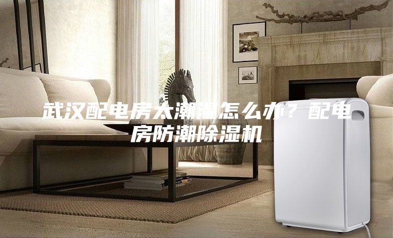 武漢配電房太潮濕怎么辦?配電房防潮除濕機