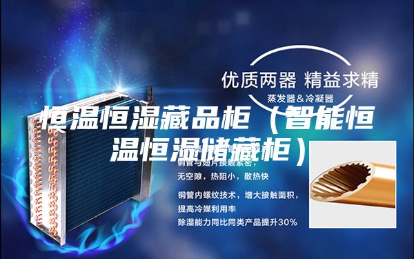 恒溫恒濕藏品柜（智能恒溫恒濕儲(chǔ)藏柜）