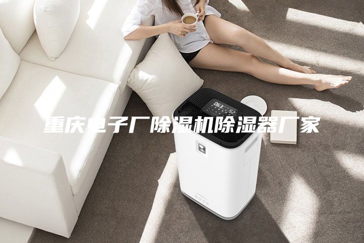 重慶電子廠除濕機(jī)除濕器廠家