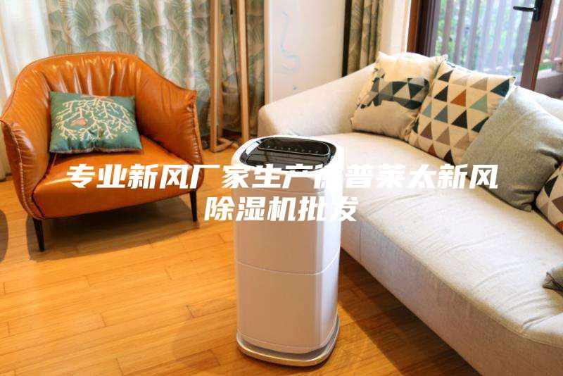 專(zhuān)業(yè)新風(fēng)廠家生產(chǎn)德普萊太新風(fēng)除濕機(jī)批發(fā)