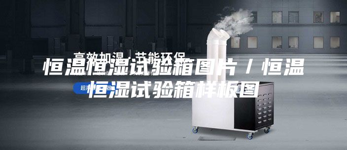 恒溫恒濕試驗箱圖片/恒溫恒濕試驗箱樣板圖