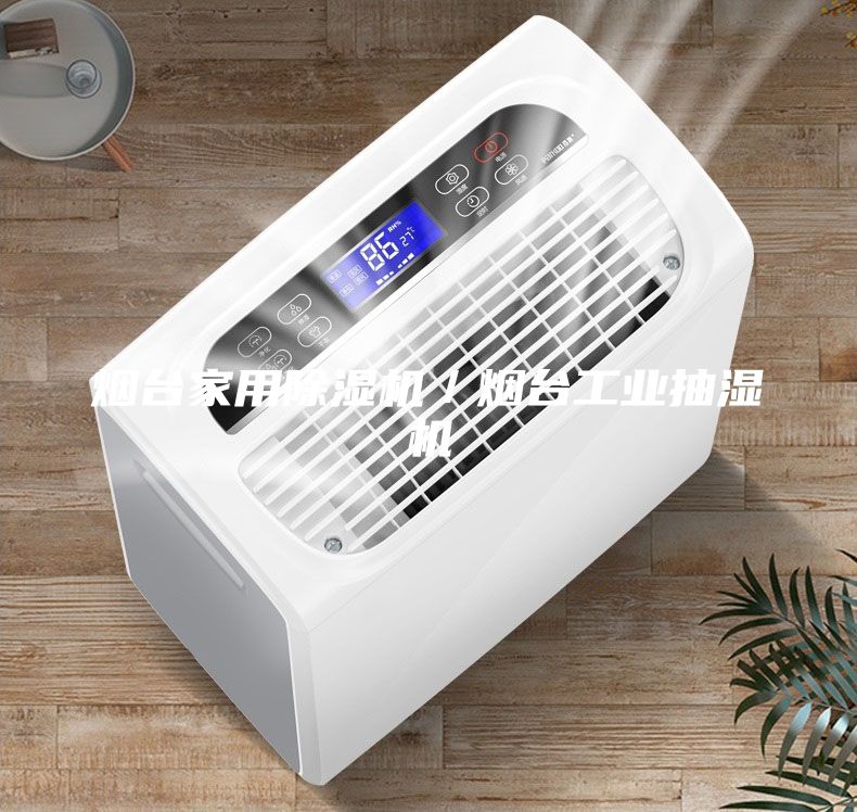 煙臺家用除濕機／煙臺工業(yè)抽濕機