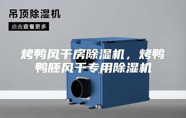 烤鴨風干房除濕機，烤鴨鴨胚風干專用除濕機