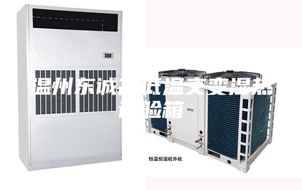 溫州東誠高低溫交變濕熱試驗(yàn)箱