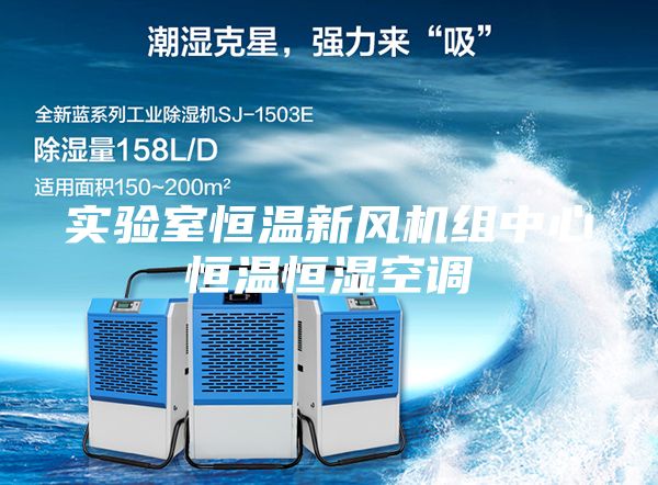 實驗室恒溫新風機組中心恒溫恒濕空調(diào)