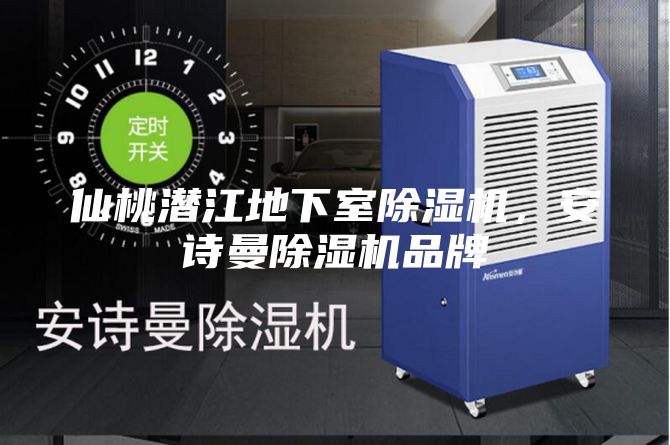仙桃潛江地下室除濕機，安詩曼除濕機品牌