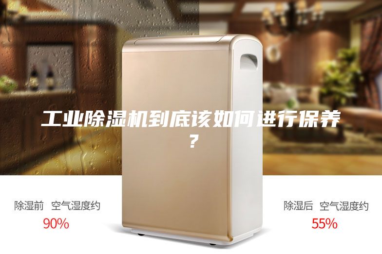 工業(yè)除濕機(jī)到底該如何進(jìn)行保養(yǎng)？