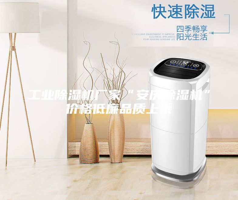 工業除濕機廠家“安慶除濕機”價格低廉品質上乘