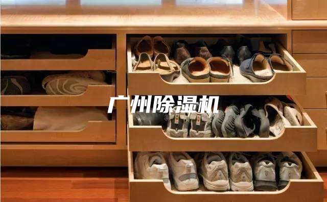 廣州除濕機(jī)