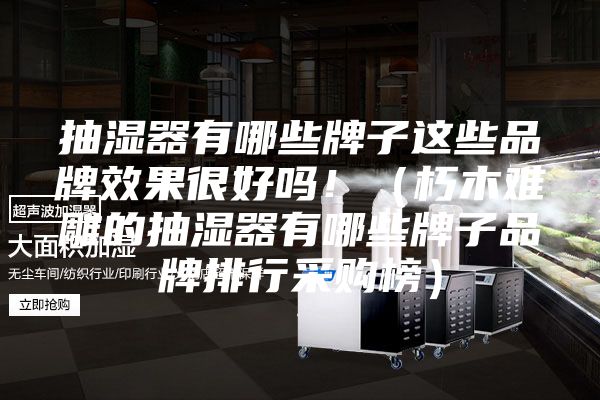 抽濕器有哪些牌子這些品牌效果很好嗎！（朽木難雕的抽濕器有哪些牌子品牌排行采購(gòu)榜）