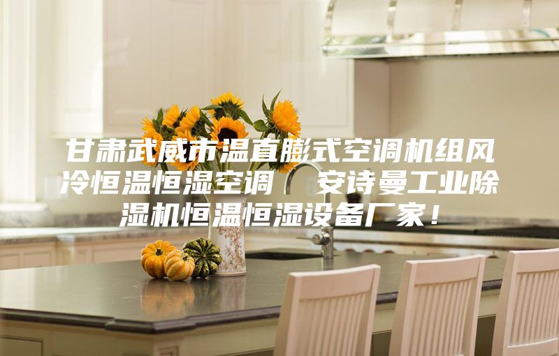 甘肅武威市溫直膨式空調機組風冷恒溫恒濕空調  安詩曼工業除濕機恒溫恒濕設備廠家！