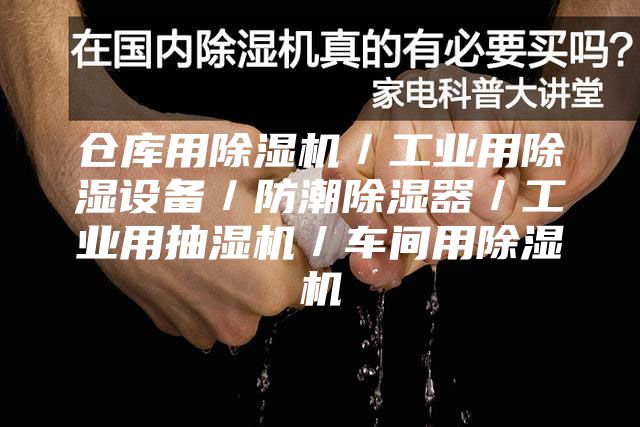 倉庫用除濕機/工業用除濕設備/防潮除濕器/工業用抽濕機/車間用除濕機