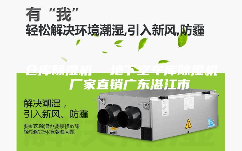 倉庫除濕機(jī) 地下室車庫除濕機(jī) 廠家直銷廣東湛江市