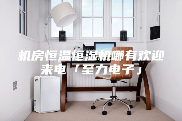 機(jī)房恒溫恒濕機(jī)哪有歡迎來(lái)電「至力電子」