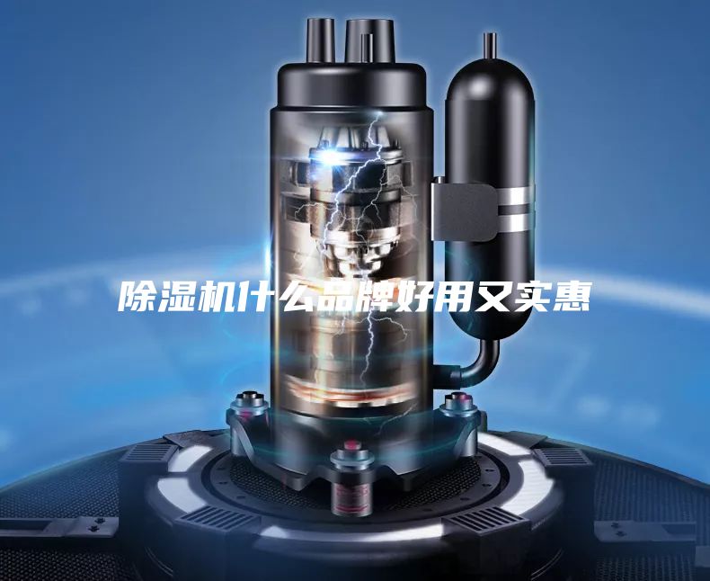 除濕機(jī)什么品牌好用又實(shí)惠