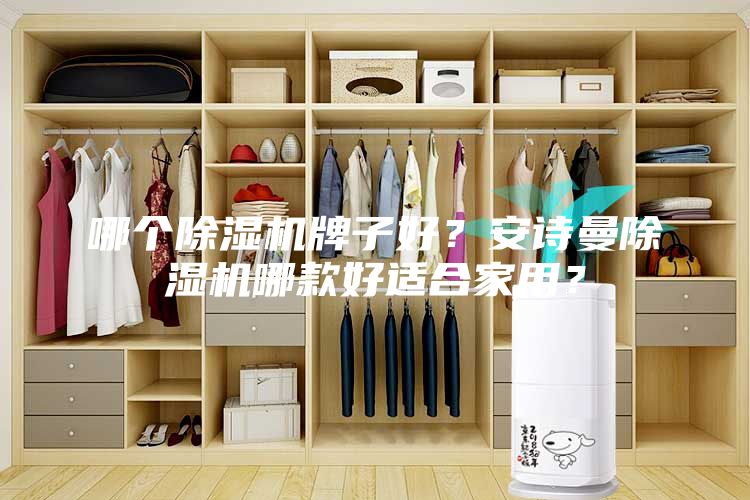 哪個除濕機(jī)牌子好?安詩曼除濕機(jī)哪款好適合家用?