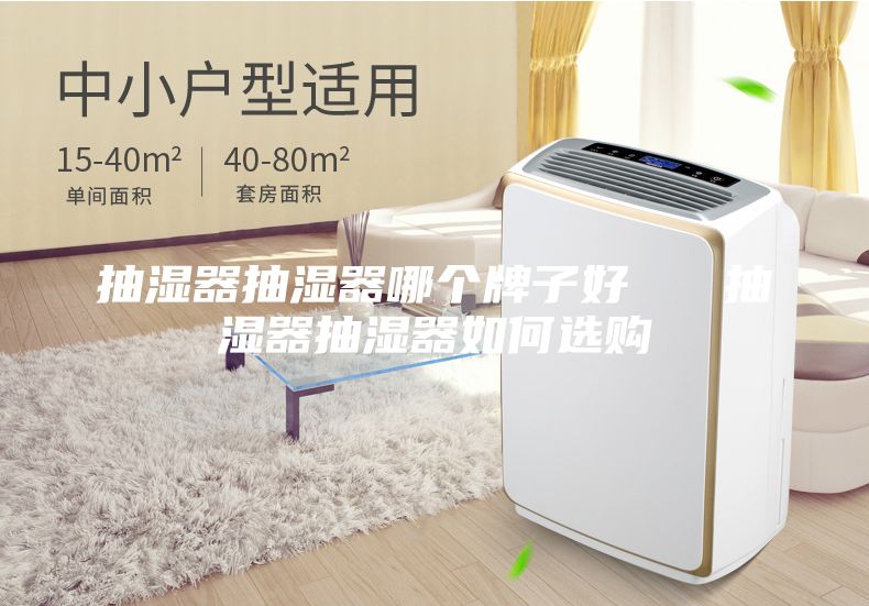 抽濕器抽濕器哪個牌子好 抽濕器抽濕器如何選購
