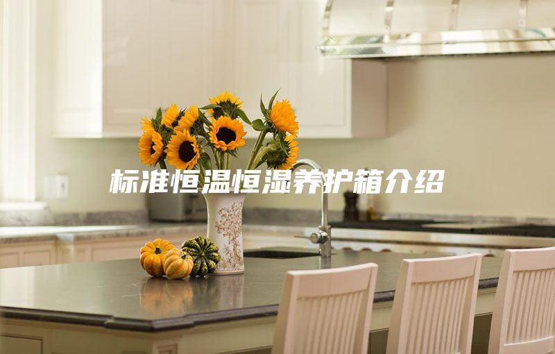 標準恒溫恒濕養護箱介紹