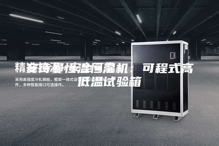 安詩(shī)曼恒溫恒濕機(jī):可程式高低溫試驗(yàn)箱