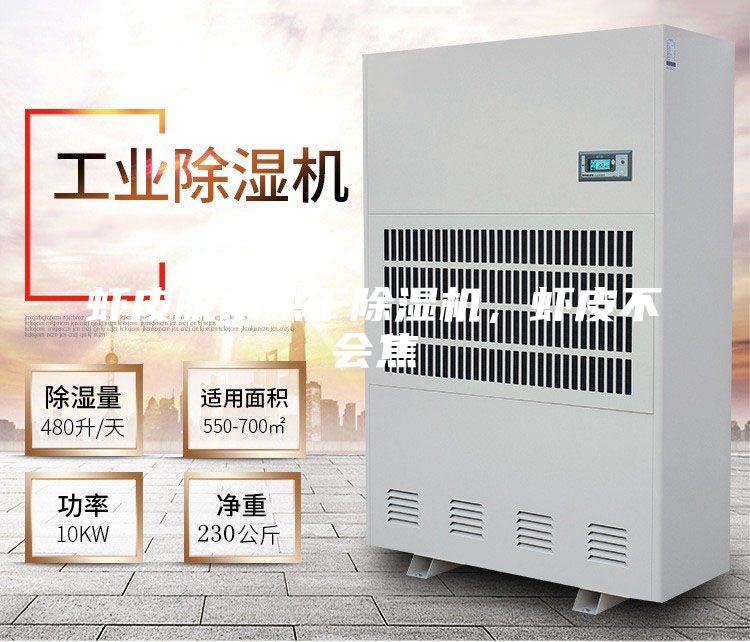 蝦皮脫水烘干除濕機(jī)，蝦皮不會(huì)焦