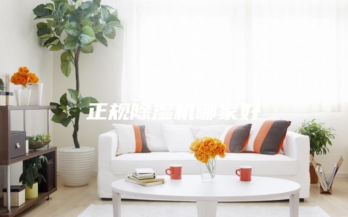 正規(guī)除濕機哪家好