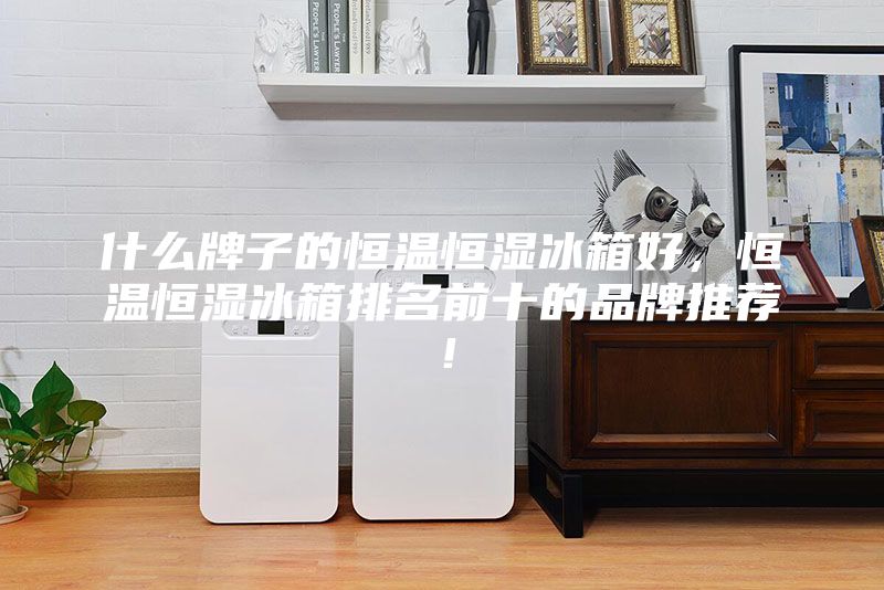 什么牌子的恒溫恒濕冰箱好，恒溫恒濕冰箱排名前十的品牌推薦！