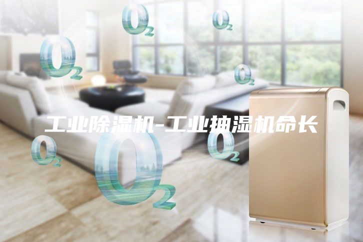 工業(yè)除濕機(jī)-工業(yè)抽濕機(jī)命長(zhǎng)