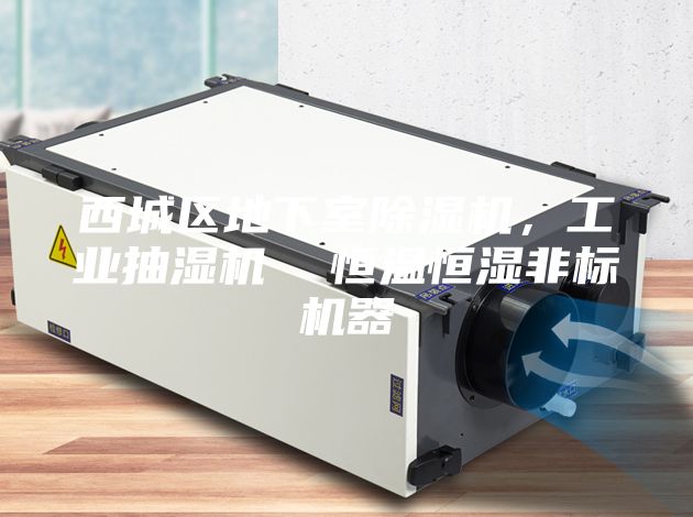 西城區地下室除濕機，工業抽濕機  恒溫恒濕非標機器
