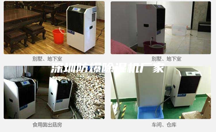 深圳防爆除濕機(jī)廠(chǎng)家