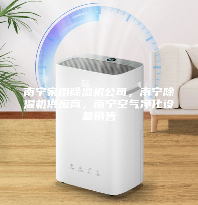 南寧家用除濕機公司，南寧除濕機供應商，南寧空氣凈化設備銷售