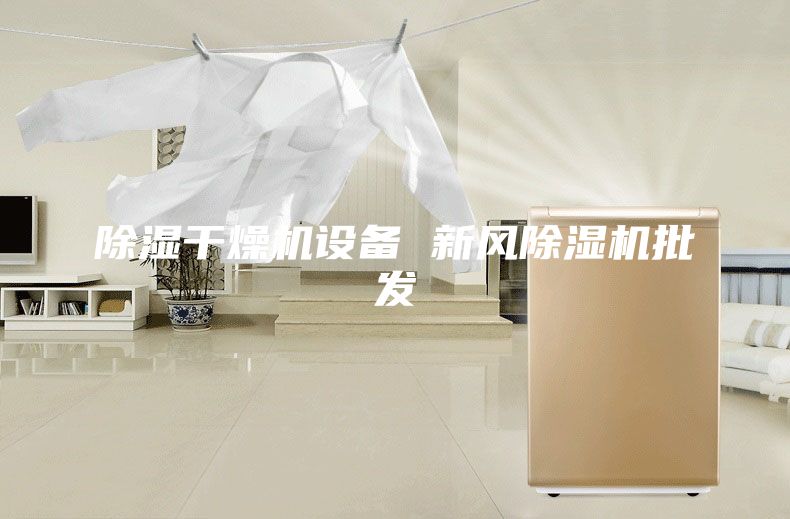 除濕干燥機設(shè)備 新風(fēng)除濕機批發(fā)