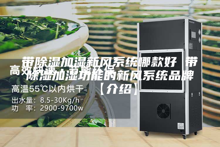 帶除濕加濕新風系統哪款好 帶除濕加濕功能的新風系統品牌【介紹】