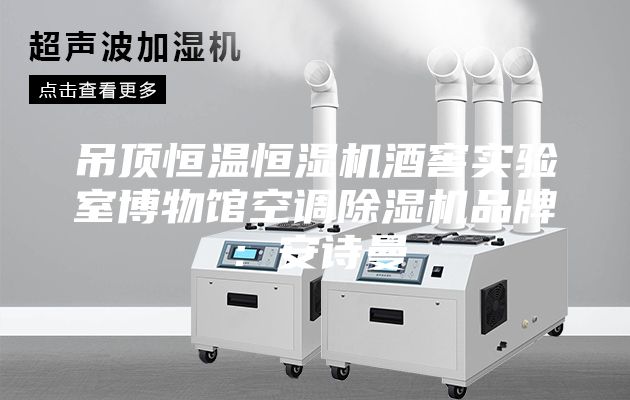 吊頂恒溫恒濕機酒窖實驗室博物館空調除濕機品牌：安詩曼