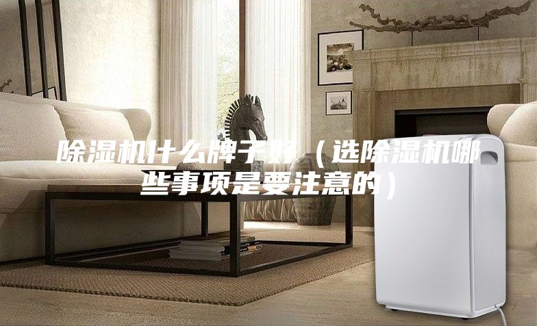 除濕機什么牌子好（選除濕機哪些事項是要注意的）