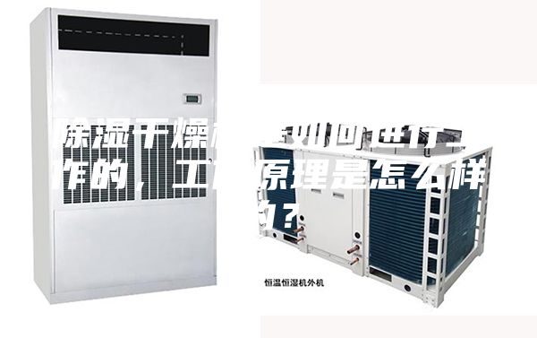 除濕干燥機是如何進行工作的,工作原理是怎么樣的?