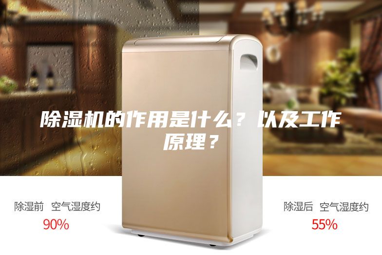 除濕機(jī)的作用是什么？以及工作原理？