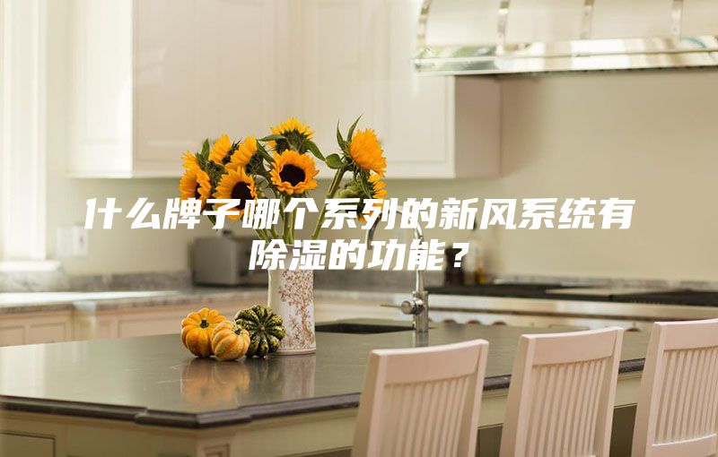 什么牌子哪個系列的新風系統有除濕的功能？
