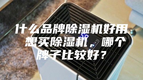 什么品牌除濕機好用 想買除濕機，哪個牌子比較好？