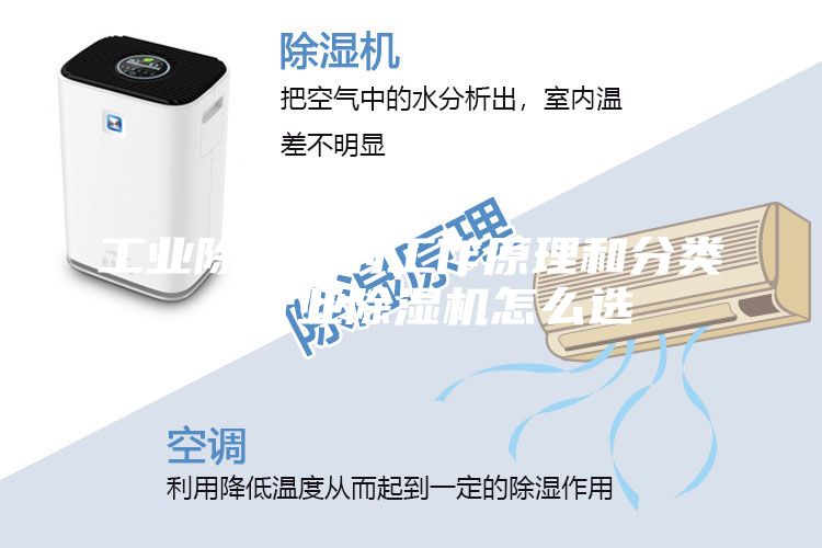 工業除濕機的工作原理和分類，行業除濕機怎么選