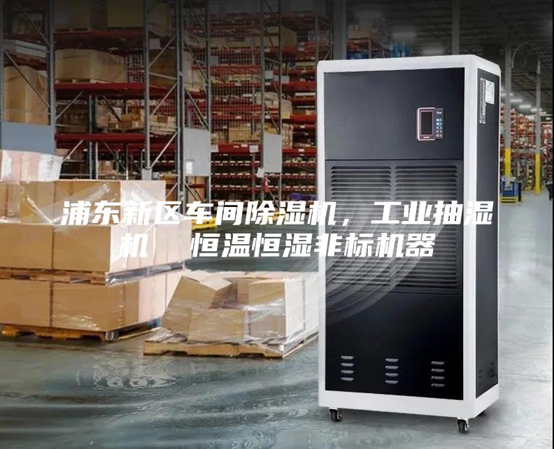 浦東新區車間除濕機，工業抽濕機  恒溫恒濕非標機器