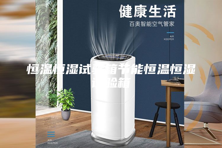 恒溫恒濕試驗箱節能恒溫恒濕試驗箱