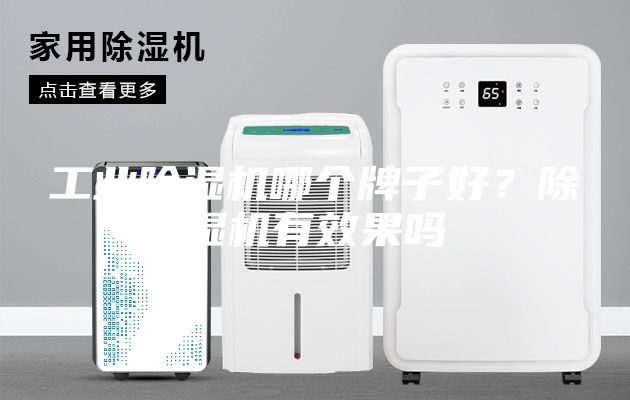 工業(yè)除濕機哪個牌子好？除濕機有效果嗎
