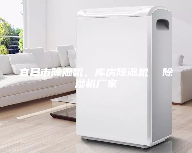 宜昌市除濕機，庫房除濕機  除濕機廠家