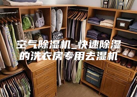 空氣除濕機(jī)_快速除濕的洗衣房專(zhuān)用去濕機(jī)