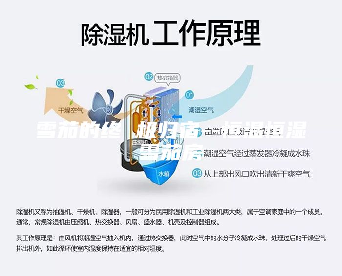 雪茄的終 極歸宿--恒溫恒濕雪茄房