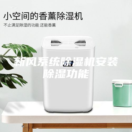 新風系統(tǒng)除濕機安裝除濕功能