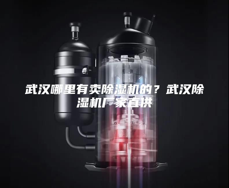 武漢哪里有賣(mài)除濕機(jī)的？武漢除濕機(jī)廠家直供