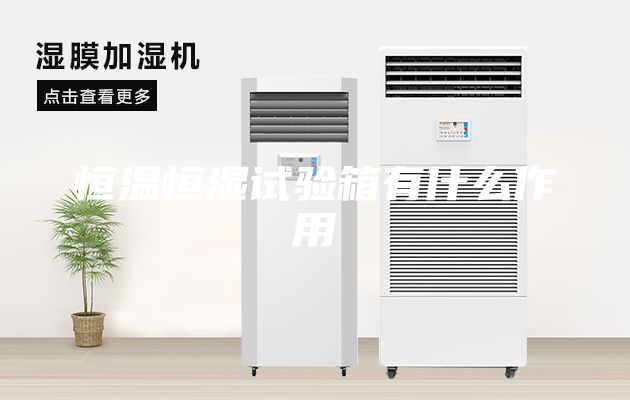 恒溫恒濕試驗(yàn)箱有什么作用