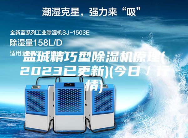 鹽城精巧型除濕機原理(2023已更新)(今日/行情)